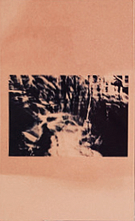 Aksumite : Live Lions